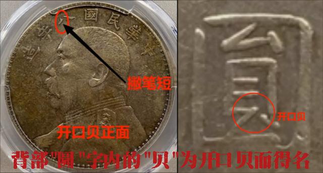袁大头八年开口贝版#古董（币贝货币资讯）