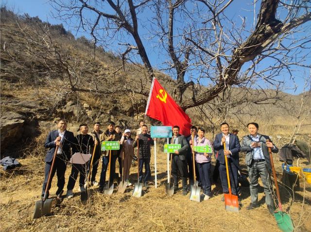 北京市海淀区政协委员徐磊带队赴门头沟区开展义务植树活动（徐磊）