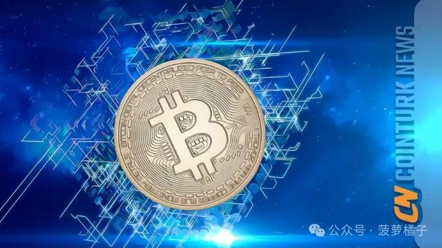 洞察比特币的增长和未来价格预测（比特币价格）