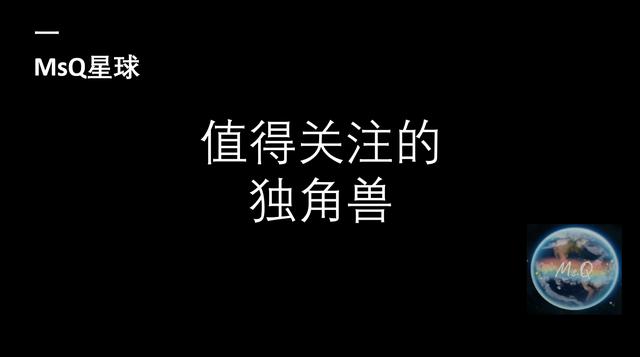 2024年值得关注的30家独角兽（msq货币资讯）