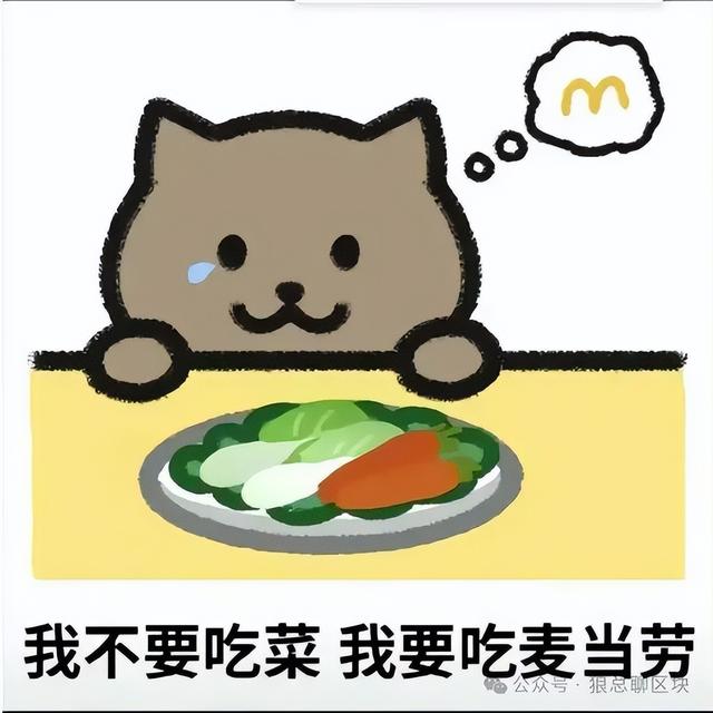 币圈故事会：大佬们对胖猫事件酒后吐真言，即将反弹的加密货币（币圈货币资讯）