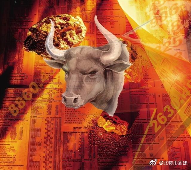 「不看会后悔系列」小白急需知道的币圈术语（币圈是什么意思货币资讯）
